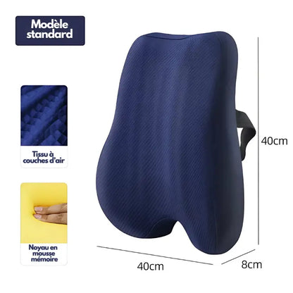 Ferns | Coussin Dossier et Siège Orthopédique TravailZen  