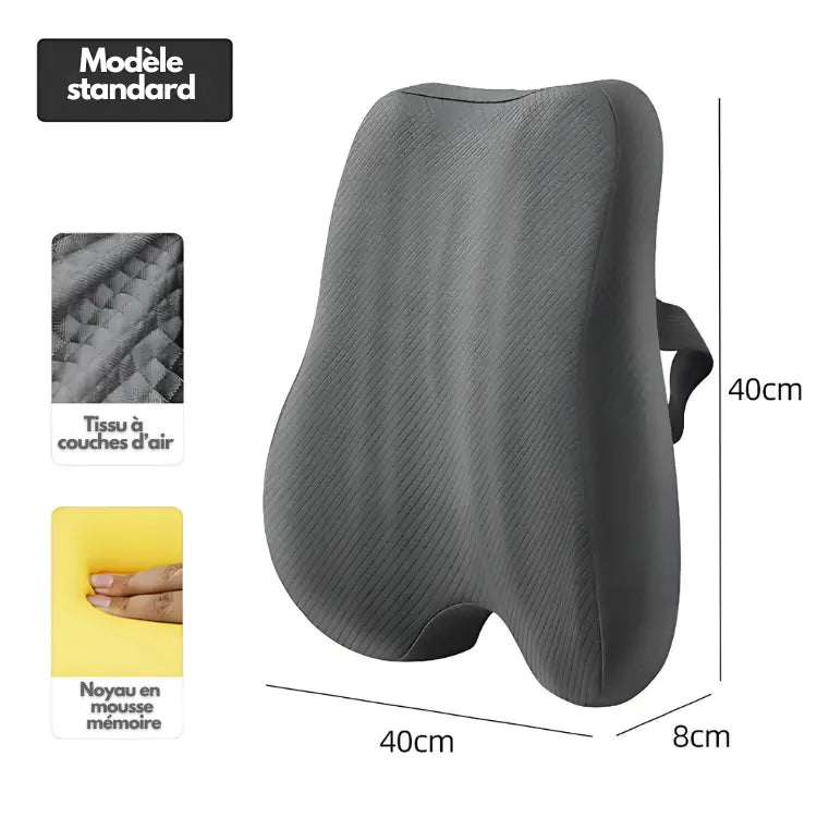 Ferns | Coussin Dossier et Siège Orthopédique TravailZen  